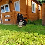 Jelen Séjour à la ferme Jelen (Szczecinek)