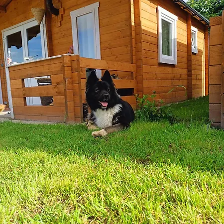 Jelen Alojamento de Turismo Rural Jelen (Szczecinek)
