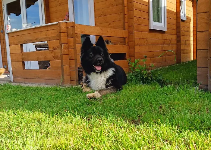 Jelen Κατάλυμα σε φάρμα Jelen (Szczecinek)